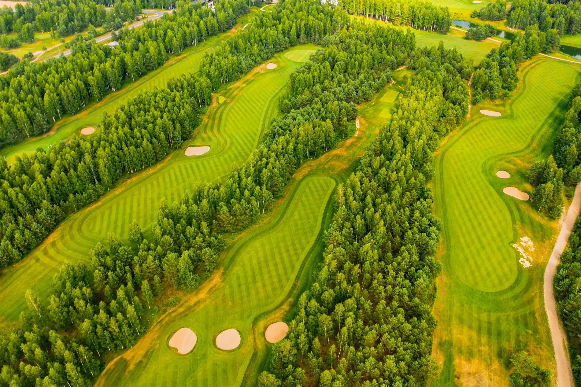 Top view of a golf course surrounded by trees
